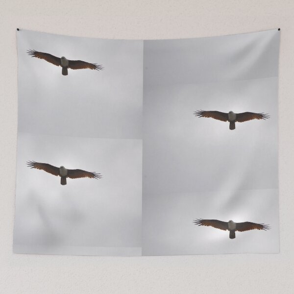 Item preview, Townsville Air Show, Australia 2016 -eagle hovering designed and sold by muz2142.