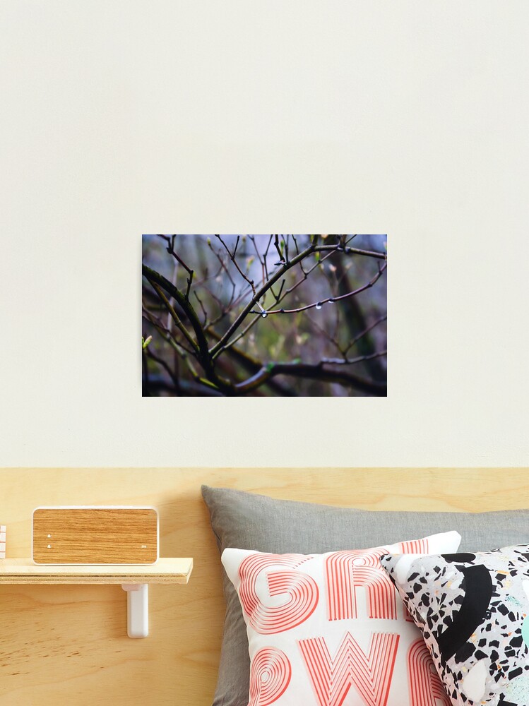 Thumbnail 2 of 3, Photographic Print, Drop designed and sold by Mallorn.