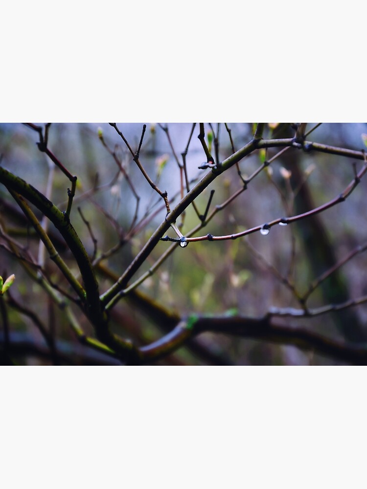 Thumbnail 3 of 3, Photographic Print, Drop designed and sold by Mallorn.