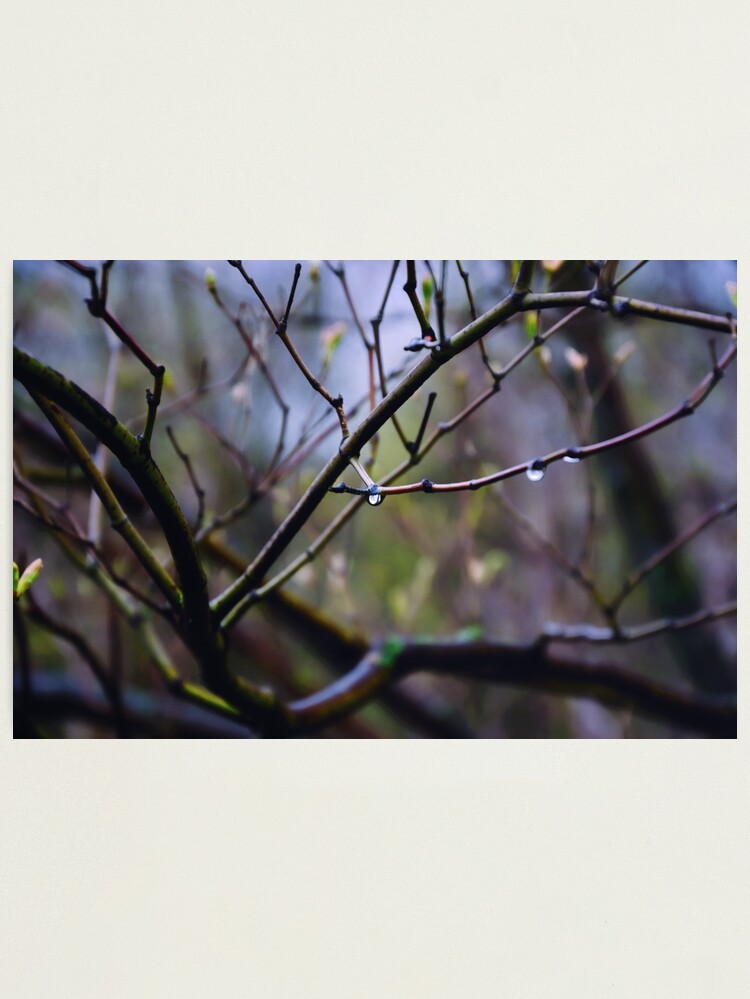 Thumbnail 1 of 3, Photographic Print, Drop designed and sold by Mallorn.