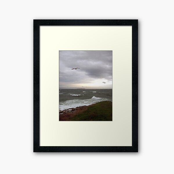 Stormy Clover Point photo Framed Art Print