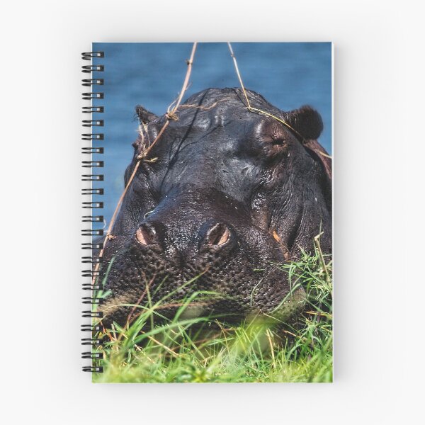 Item preview, Hippo With Hat in the Chobe River designed and sold by Kay Brewer.