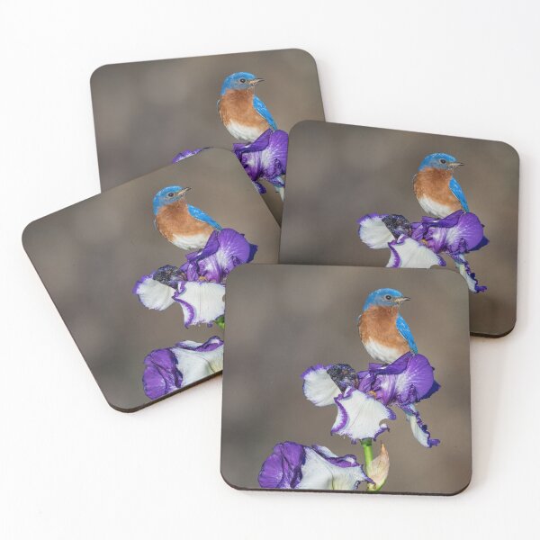 Item preview, Eastern Bluebird on Iris designed and sold by (Tallow) Dave  Van de Laar.
