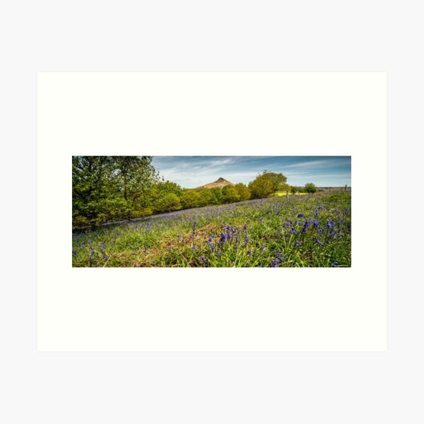 Roseberry Topping Bluebells Art Print