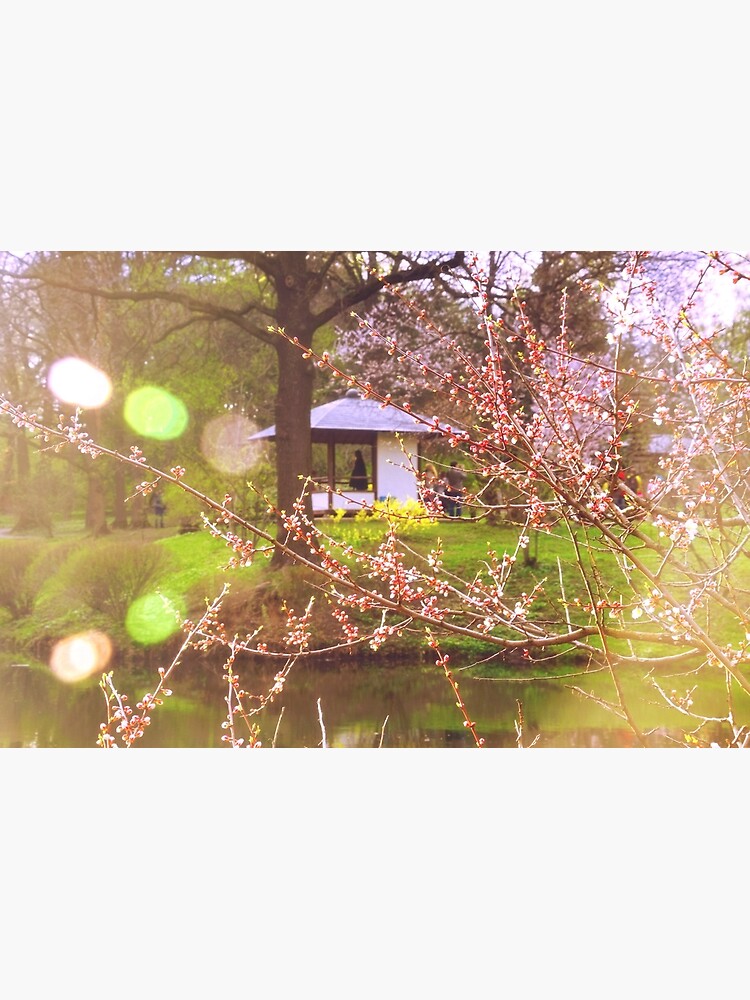 Thumbnail 2 of 2, Greeting Card, Here I, Spring, Am designed and sold by Mallorn.