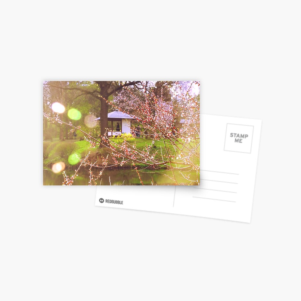 Item preview, Postcard designed and sold by Mallorn.