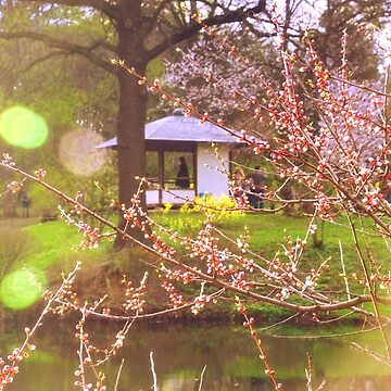Artwork thumbnail, Here I, Spring, Am by Mallorn