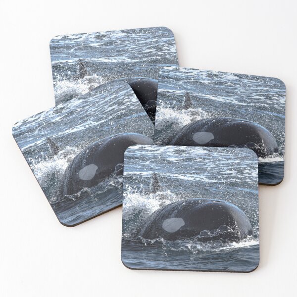 Item preview, Orca CA140C designed and sold by Selena Rivera.