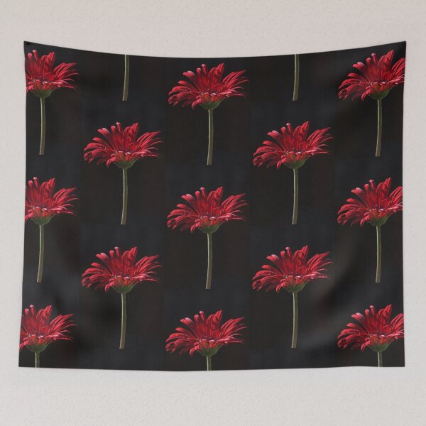 Item preview, the first springtime gerbera designed and sold by Clare Colins.