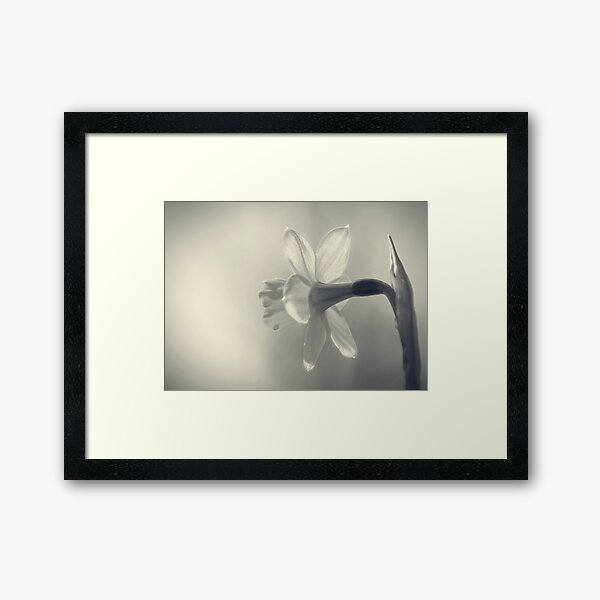 Item preview, Looking Towards the Light designed and sold by Sandra Parlow.