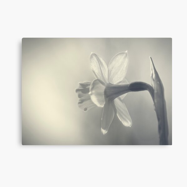 Item preview, Looking Towards the Light designed and sold by Sandra Parlow.