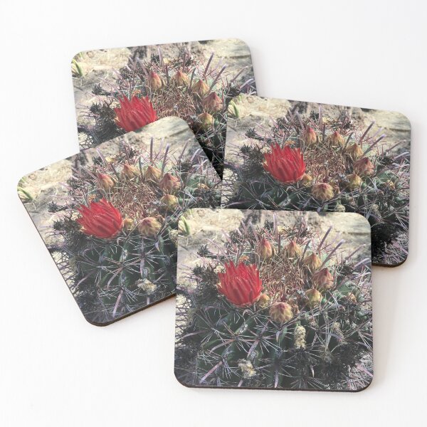 Item preview, Red flower on cactus at special garden designed and sold by Rita Kindle.