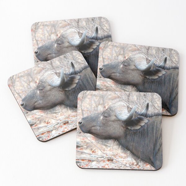 Item preview, A COMPANION FOR THE LONELY BULL - The Buffalo - Syncerus caffer  designed and sold by Magriet Meintjes.