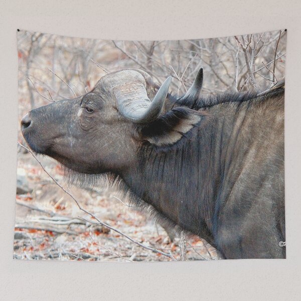 Item preview, A COMPANION FOR THE LONELY BULL - The Buffalo - Syncerus caffer  designed and sold by Magriet Meintjes.