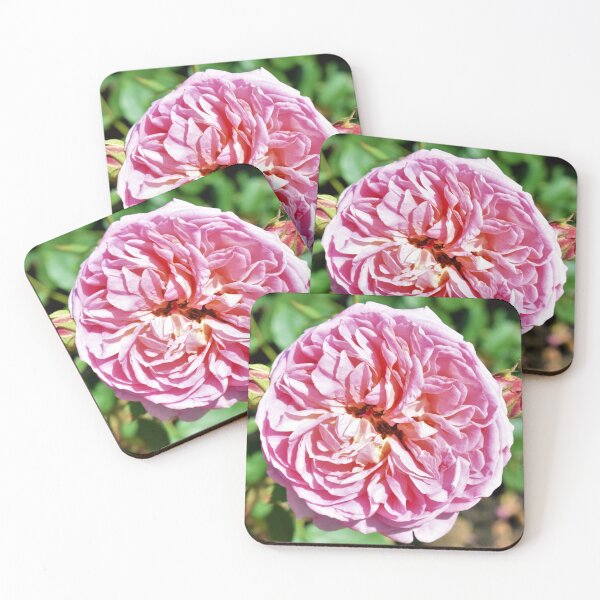 Item preview, Summer Blooms designed and sold by TheRuth.