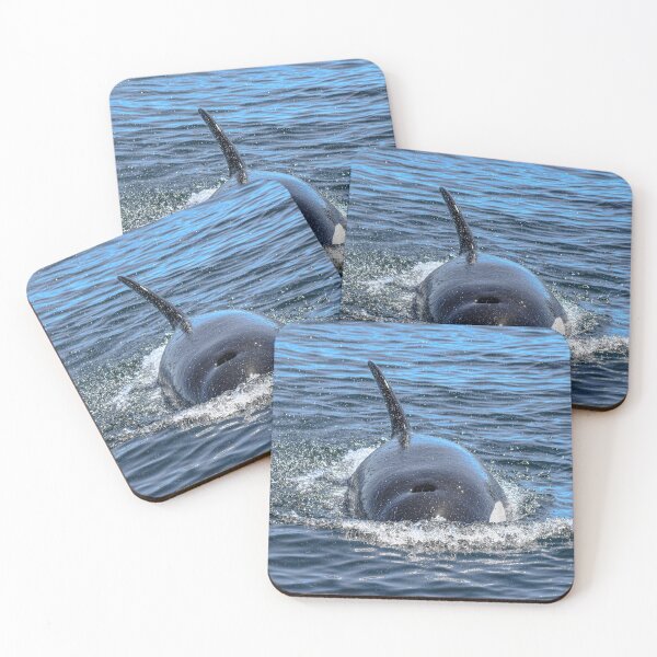 Item preview, Juvenile Orca designed and sold by Selena Rivera.