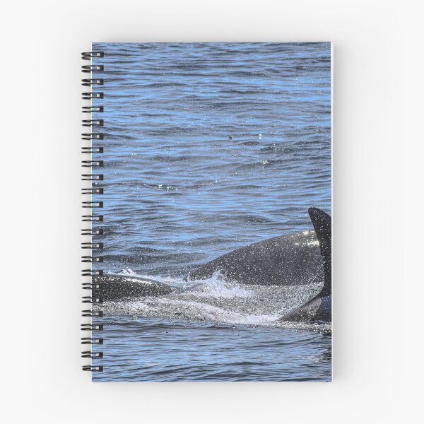 Item preview, Orca Pod designed and sold by Selena Rivera.