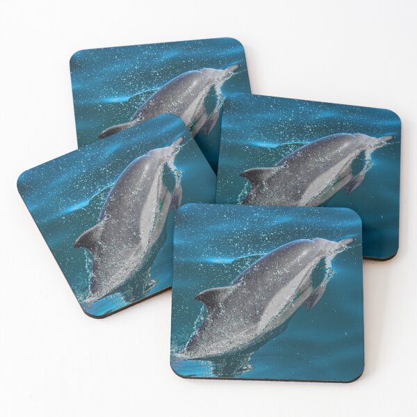 Item preview, common dolphin designed and sold by Selena Rivera.
