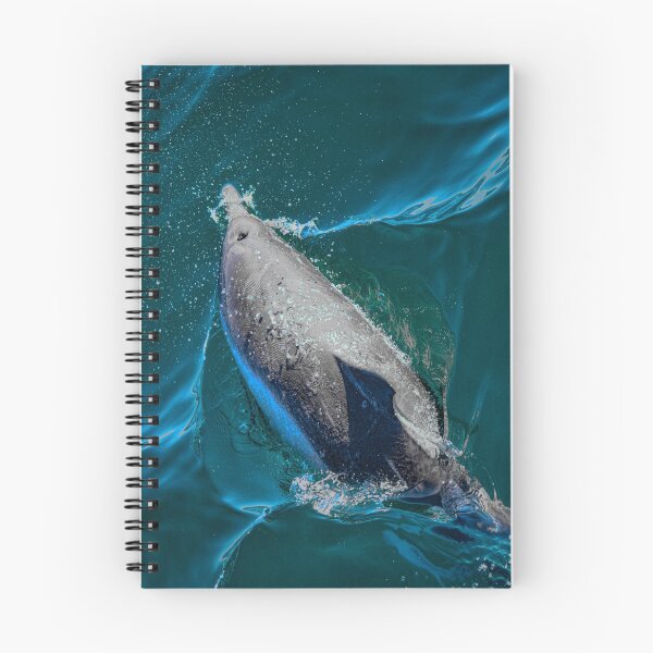 Item preview, common dolphin designed and sold by Selena Rivera.