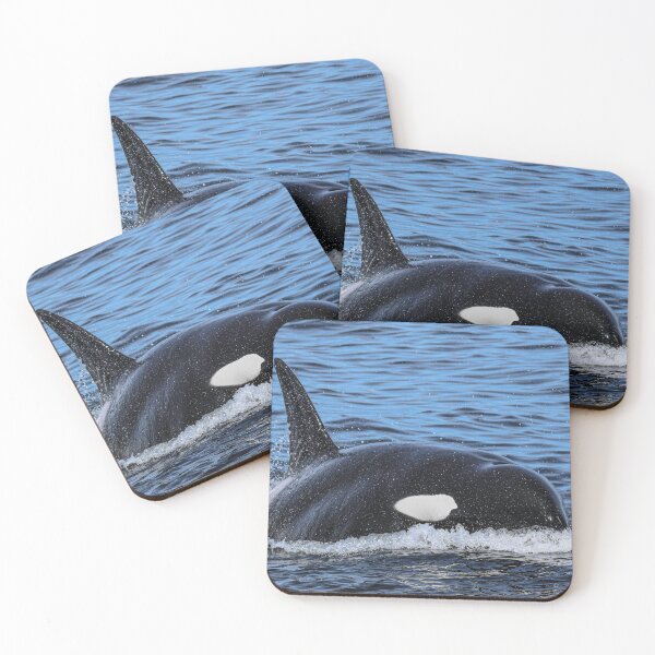 Item preview, Orca CA140 designed and sold by Selena Rivera.