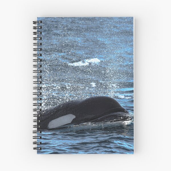 Item preview, Orca CA140C designed and sold by Selena Rivera.
