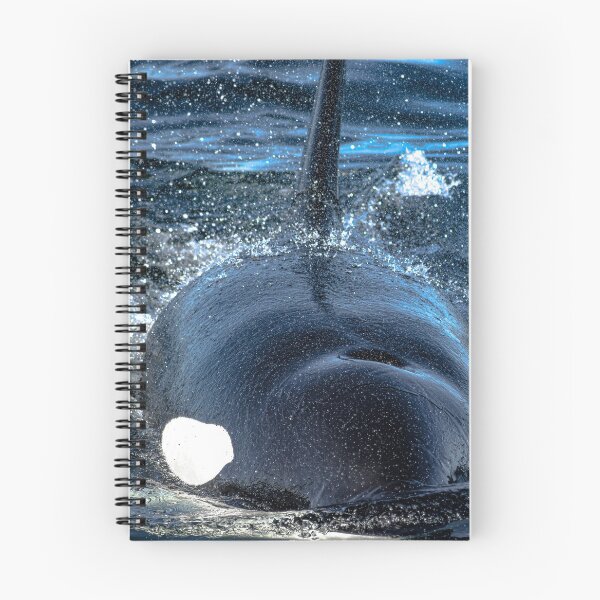 Item preview, orca CA140B designed and sold by Selena Rivera.