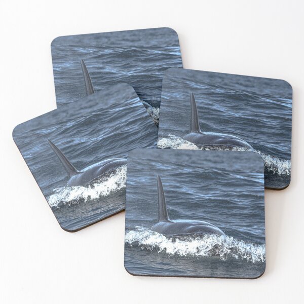 Item preview, orca designed and sold by Selena Rivera.