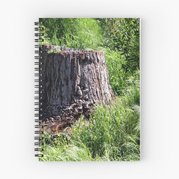 Item preview, Natural Beauty designed and sold by heatherfriedman.