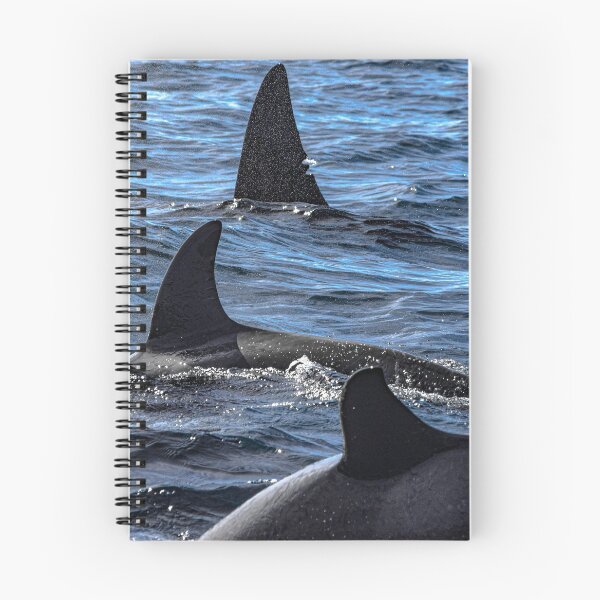 Item preview, CA140 Orca Family designed and sold by Selena Rivera.