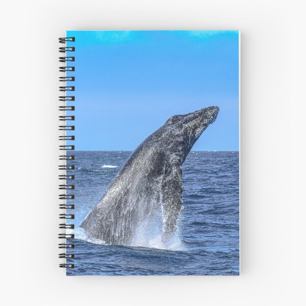 Item preview, Humpback designed and sold by Selena Rivera.