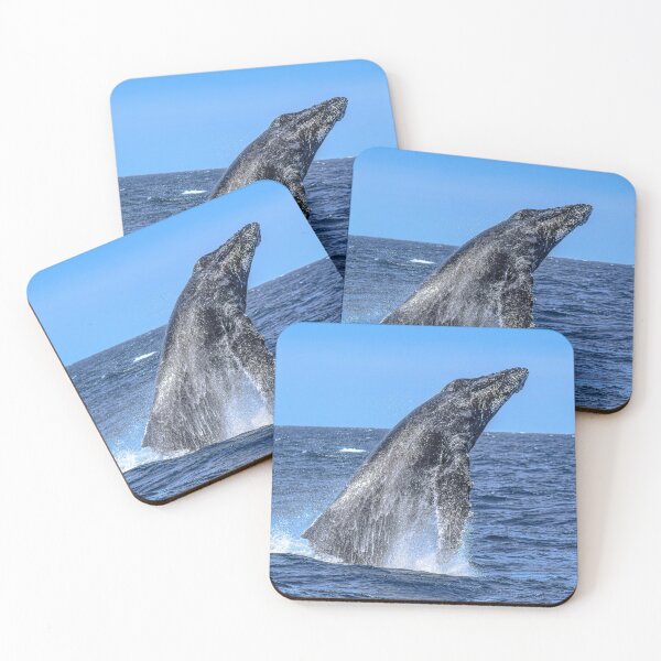 Item preview, Humpback designed and sold by Selena Rivera.