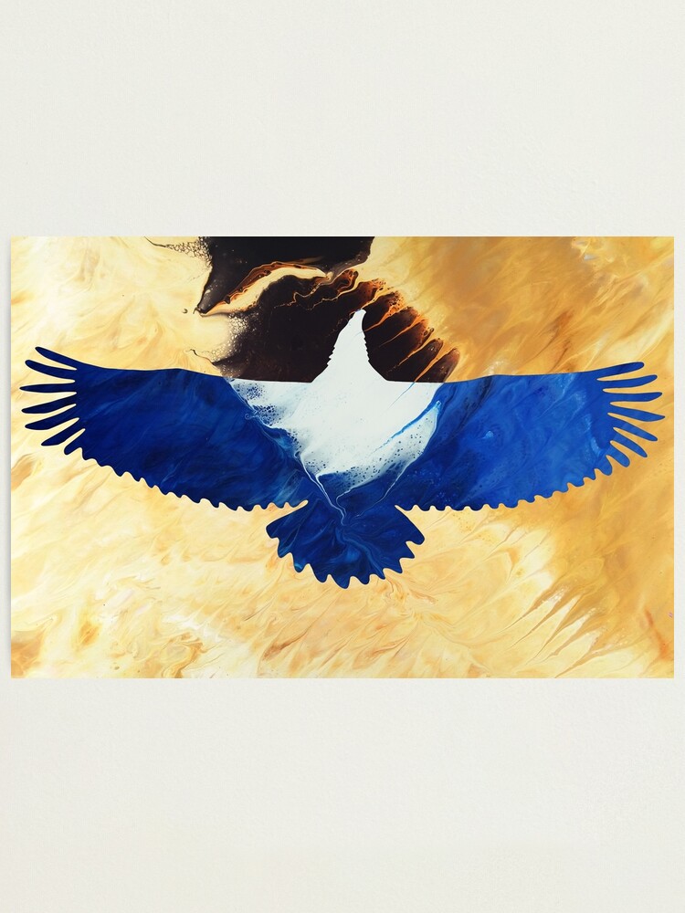 Alternate view of Eagle Soaring Photographic Print