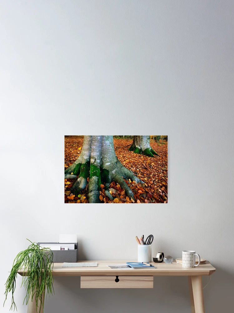 Thumbnail 2 of 3, Poster, Firm Roots designed and sold by Inge Johnsson.