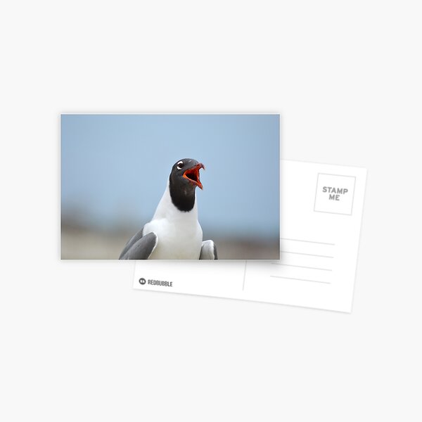 Item preview, Laughing Gull Laughing designed and sold by LizardSpirit.