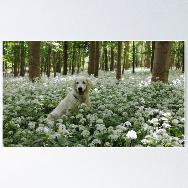 Item preview, Ditte in a carpet of ramsons designed and sold by Trine.