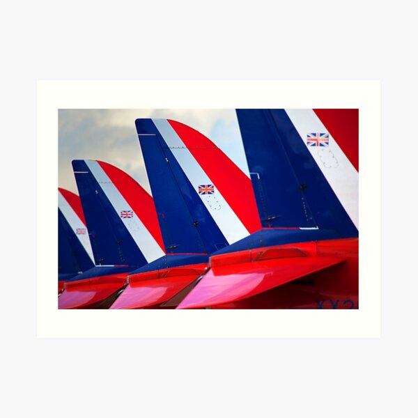 Red Fins Art Print