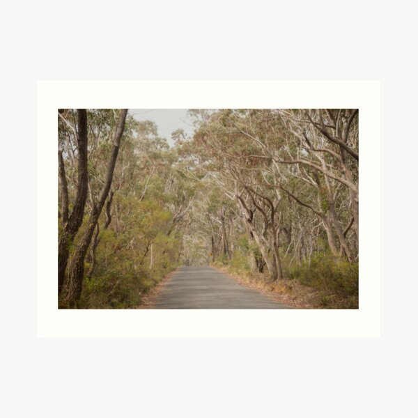 Walking The Track Art Print