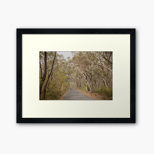 Walking The Track Framed Art Print