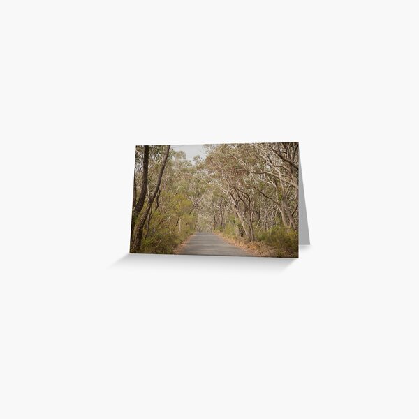 Walking The Track Greeting Card
