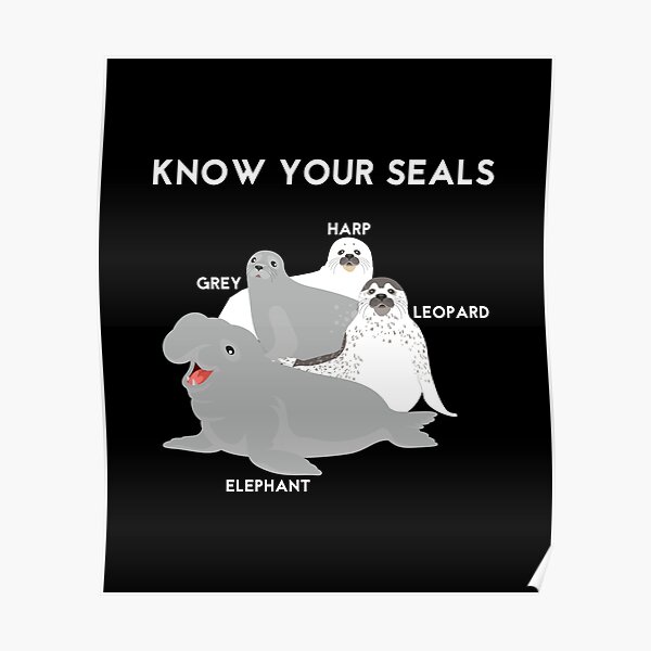 Know Your Seals - Elephant Harp Grey Leopard Poster