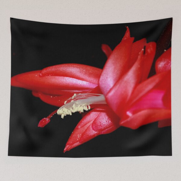 Item preview, Red Christmas Cacti designed and sold by AnnDixon.