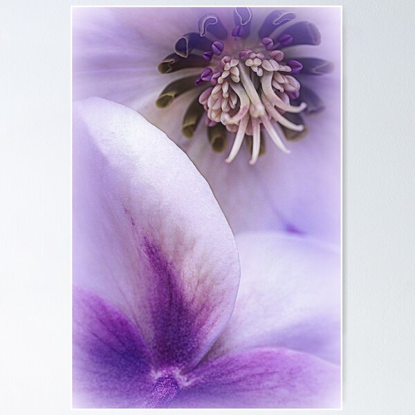 Item preview, Illusion.... designed and sold by Sharon House.