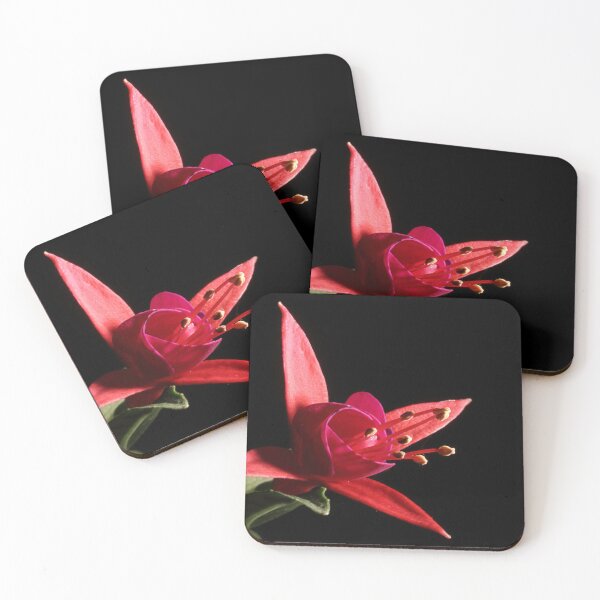 Item preview, Fuchsia designed and sold by Paul Pasco.