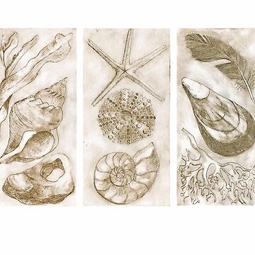 Artwork thumbnail, Beach treasures etching by LisaLeQuelenec