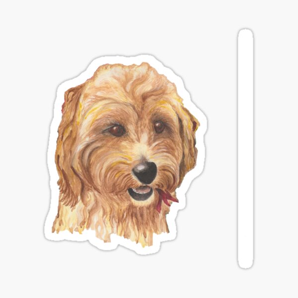 Buddy the Cockapoo Sticker