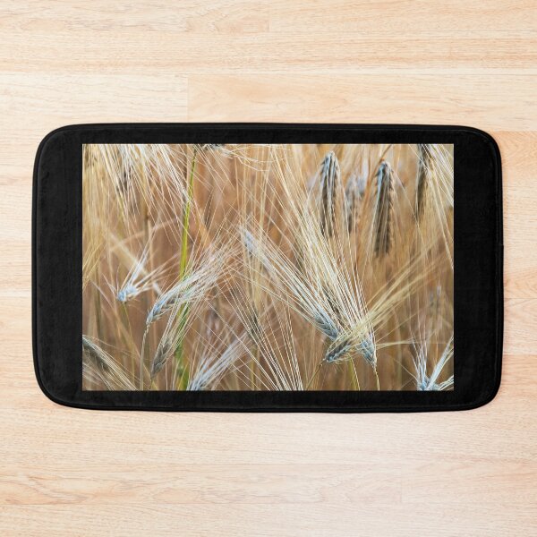 Item preview, Barley in the field designed and sold by frankuffmann.
