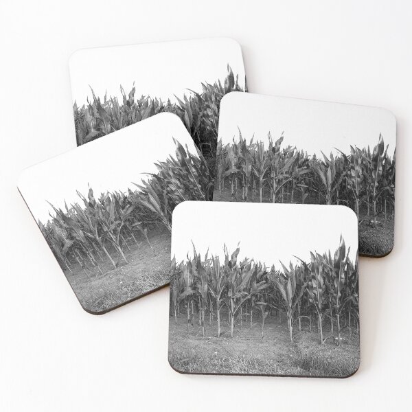 Item preview, Young corn field designed and sold by frankuffmann.
