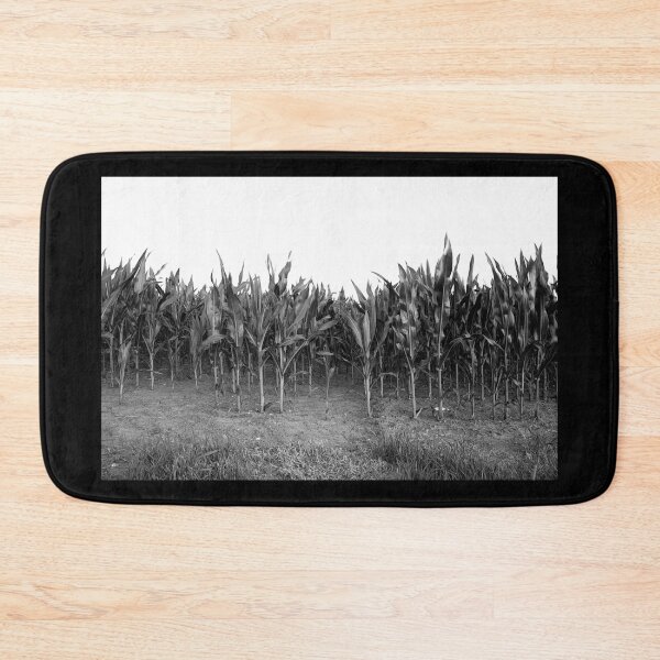 Item preview, Young corn field designed and sold by frankuffmann.