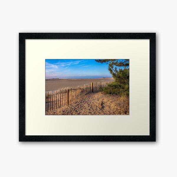 From the Pine Woods to the Sea Framed Art Print