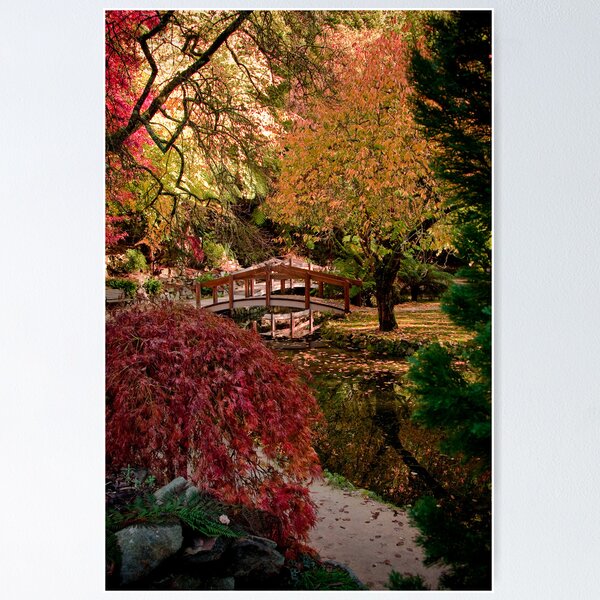 Item preview, Alfred Nicholas Gardens designed and sold by Mary Broome.